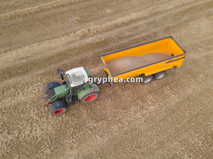 Transport du blé après la moisson - gryphea.org